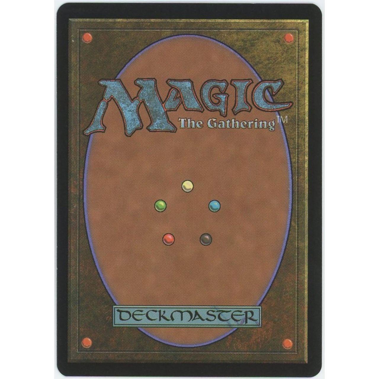 【管理1394】森/Forest
Magic: the Gathering
EN版
- 状態B