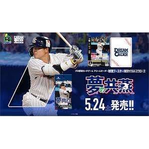 【ドリームオーダー】球団ブースター 東京ヤクルトスワローズ「夢の共燕」≪BOX≫
- ドリームオーダー