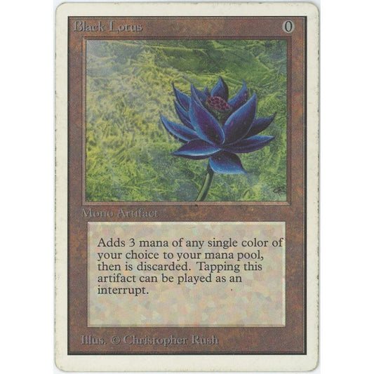 【状態D】【管理1384】Black Lotus(R)
2ED

[EN][Magic: the Gathering]