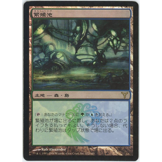 【状態D】【管理1650】繁殖池 / Breeding Pool(R)
DIS

[Magic: the Gathering]