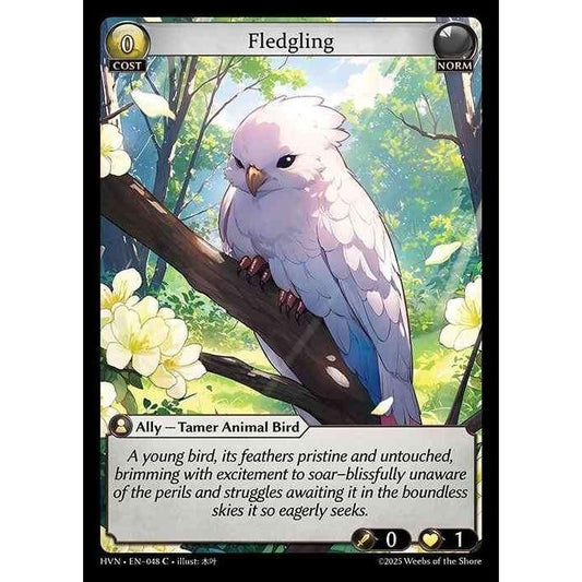 [Norm] Fledgling [HVN-048-C][Grand Archive TCG]