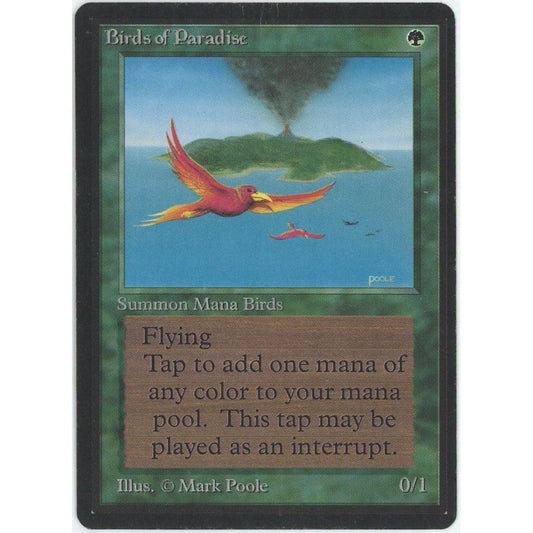 【状態D】【管理1688】Birds of Paradise(R)
LEB

[EN][Magic: the Gathering]
}