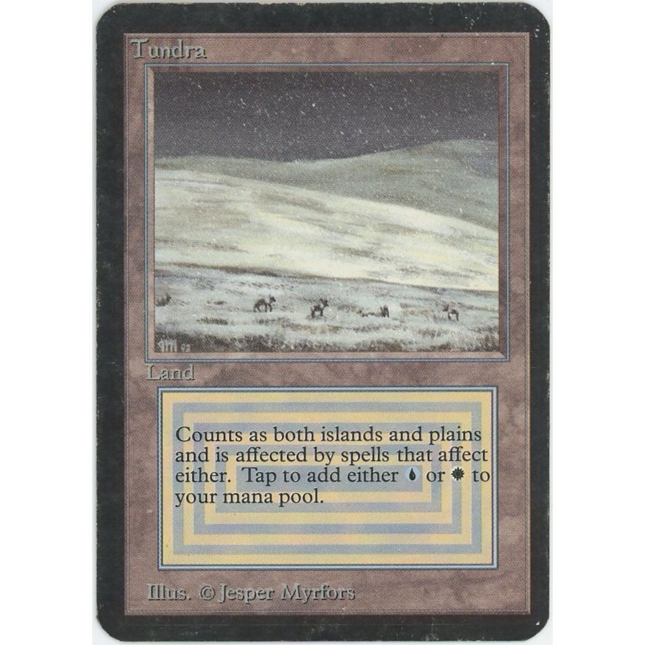 【状態D】【管理1445】Tundra(R)
LEA

[EN][Magic: the Gathering]