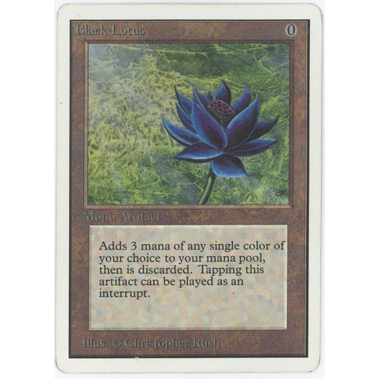 【状態C/ヘビープレイド】 【管理2219】 Black Lotus (R) 2ED [EN] [Magic: the Gathering]
