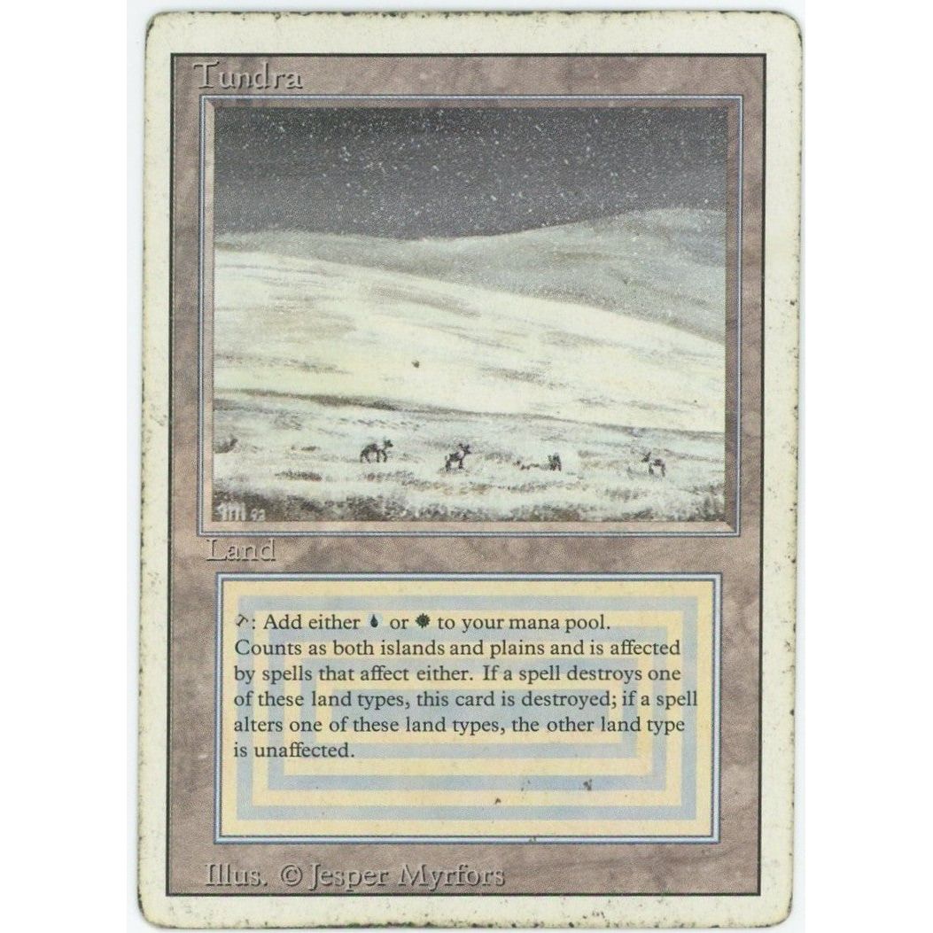 【状態D】 【管理2099】 Tundra (R) 3ED [EN] [Magic: the Gathering]