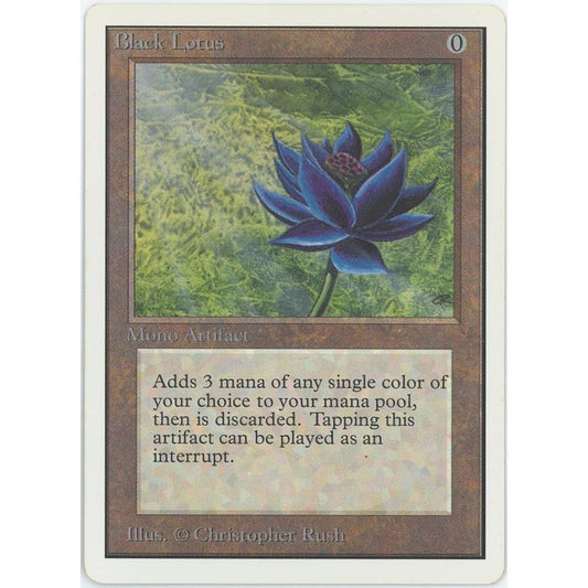 【管理1647】Black Lotus(R)
2ED

[EN][Magic: the Gathering]